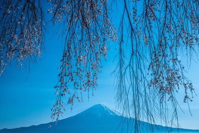 Low angle view of snowcapped mountain against blue sky