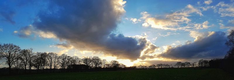 Silhouette trees on field against sky during sunset