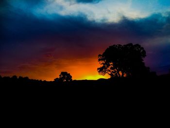 Silhouette of trees at sunset