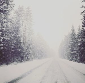 Snow covered road amidst trees during winter