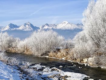 Scenic winter landscape with river, frozen trees and mountains