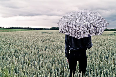 Rear view of person under umbrella standing on wheat field