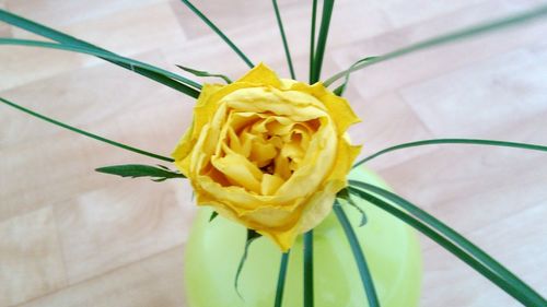 Close-up of yellow flowers