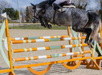 Horse jumps over an obstacle in show jumping