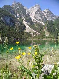 Scenic view of lake by mountains
