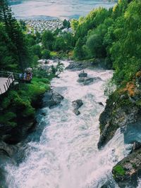 Scenic view of river flowing amidst trees