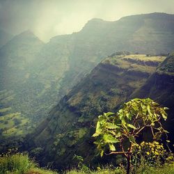 Scenic view of mountains