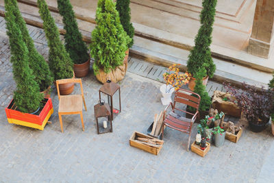 High angle view of potted plants on table