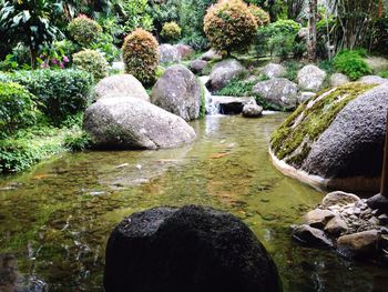 Stream at japanese garden