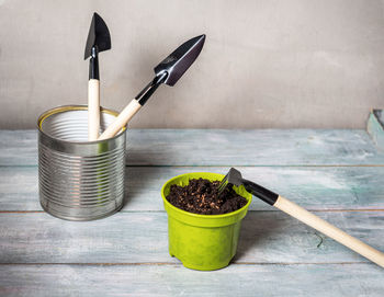 High angle view of potted plant on table