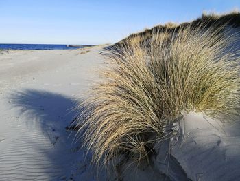 Scenic view of beach against sky during winter