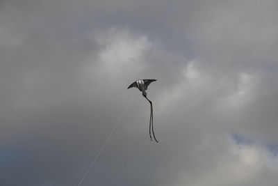 Low angle view of bird flying against sky