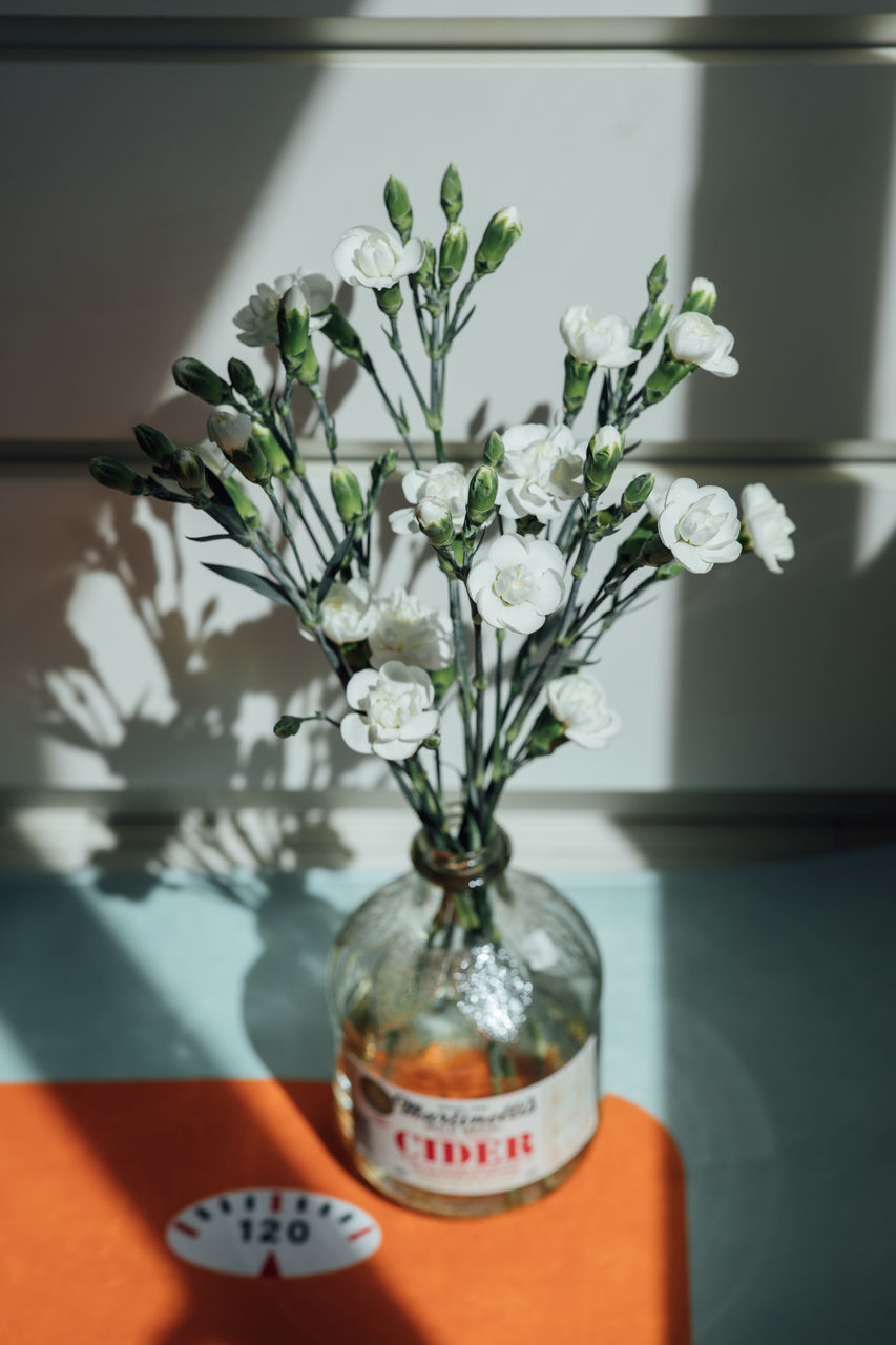 CLOSE-UP OF FLOWER VASE ON TABLE