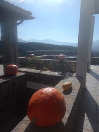 View of pumpkins on table by window