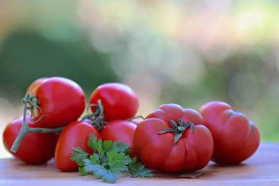 Close-up of tomatoes on table