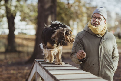 Man looking at dog walking on obstacle course during sunny day