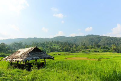 Scenic view of farm against sky