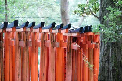 Row of red fence against trees