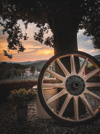 Wheel by trees on field against sky during sunset