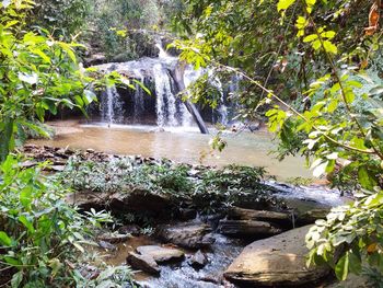 Stream flowing through rocks in forest