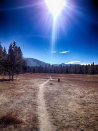 Scenic view of grassy field against sky