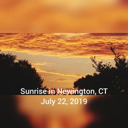 Information sign on silhouette tree against orange sky