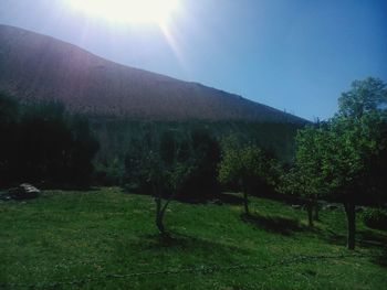 sun