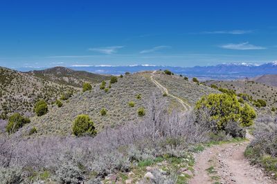 Hiking trails in oquirrh, wasatch, rocky mountains utah yellow fork and rose canyon salt lake city.