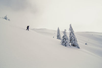 Skier going down ski hill landscape photo