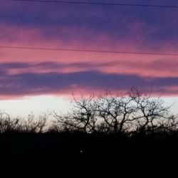 Silhouette trees against sky at sunset