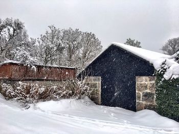 Snow covered trees