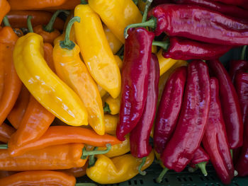 Full frame shot of multi colored chili peppers