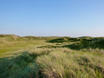 Scenic view of field against clear blue sky