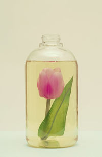 Close-up of pink rose in glass