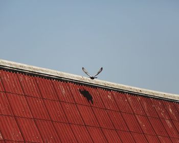 Low angle view of a bird on roof against sky