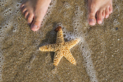 High angle view of hands on beach