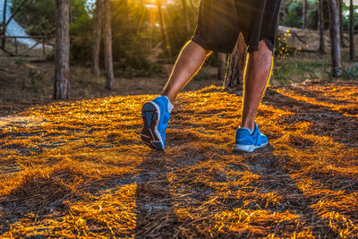 Low section of man running on land