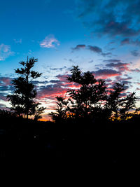 Low angle view of silhouette trees against sky during sunset