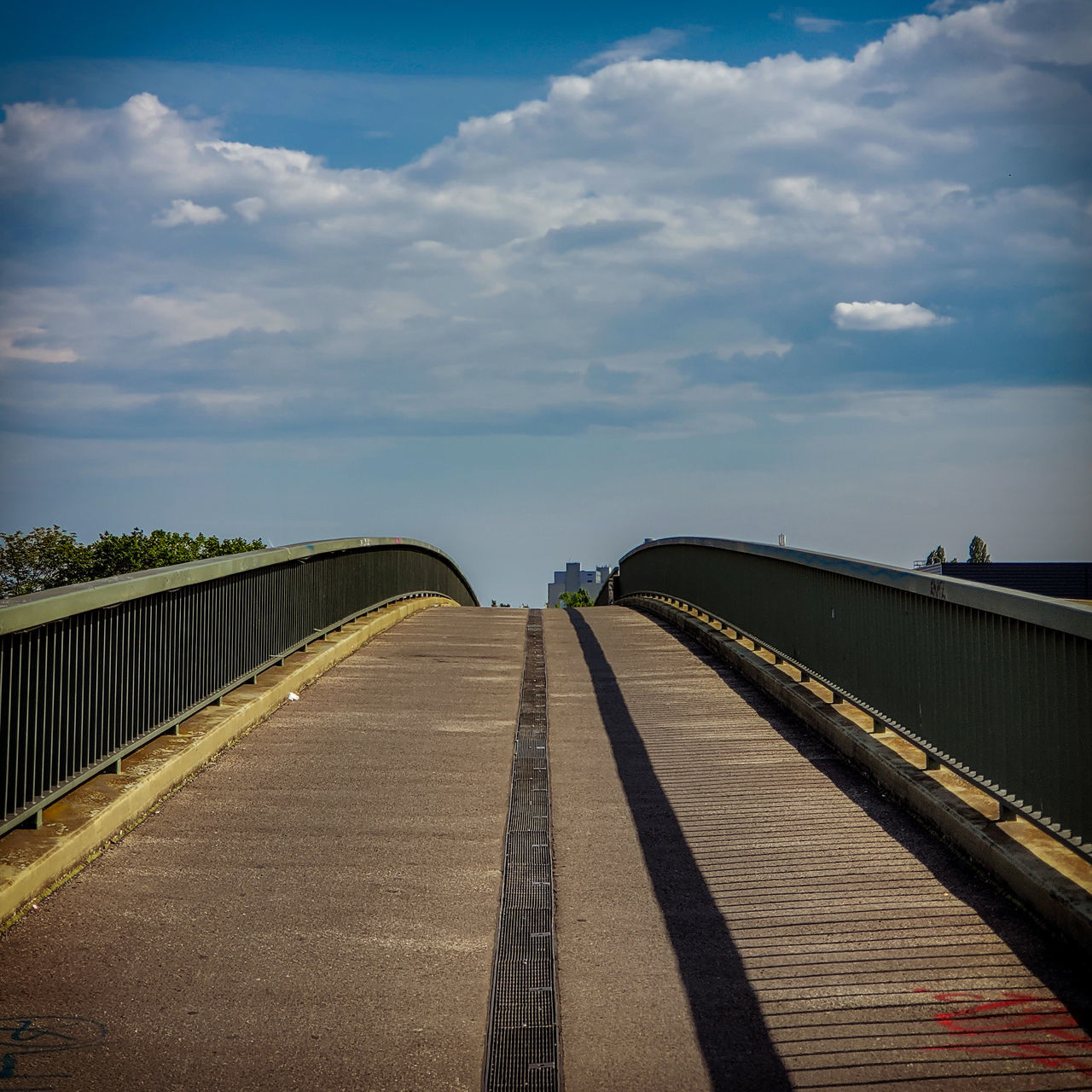 SURFACE LEVEL OF FOOTBRIDGE ALONG ROAD