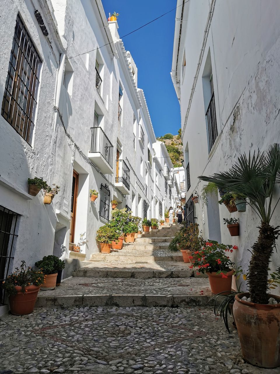 STREET AMIDST BUILDINGS IN CITY