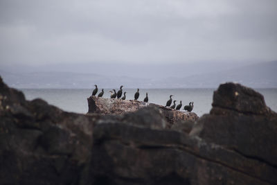 Group of people on rock by sea against sky