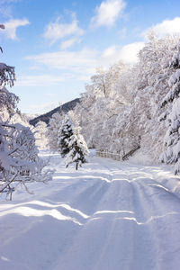 Snow covered landscape against sky