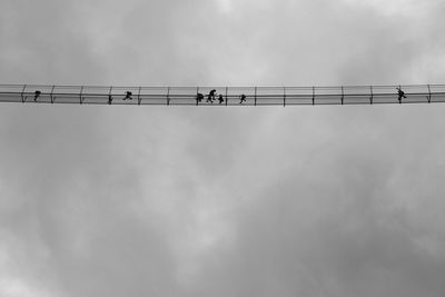 Low angle view of birds perching on cable