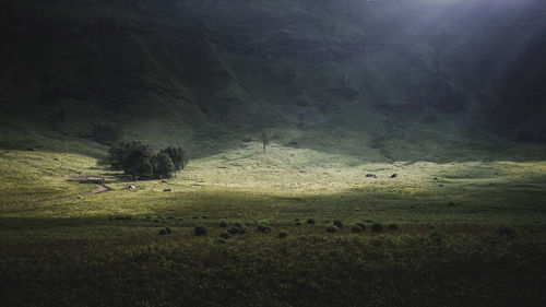 Scenic view of landscape