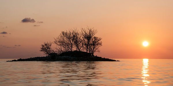 Silhouette tree by sea against sky during sunset