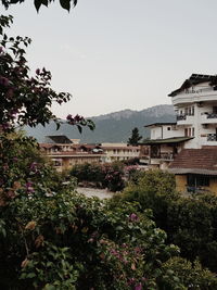 Plants and buildings against sky
