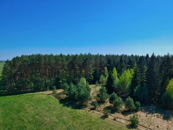 Scenic view of forest against clear blue sky