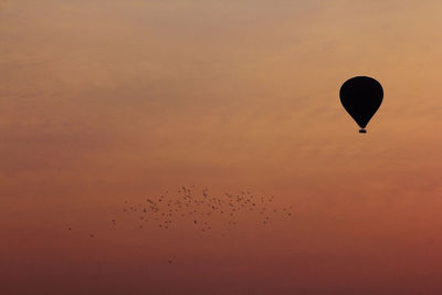 Silhouette hot air balloons flying in sky during sunset