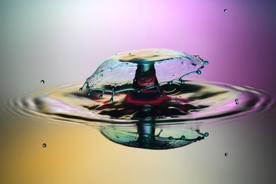 Close-up of water drop on flower