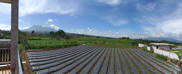 Panoramic shot of agricultural field against sky